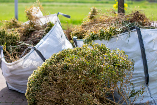Debris Removal in Westbrook, ME